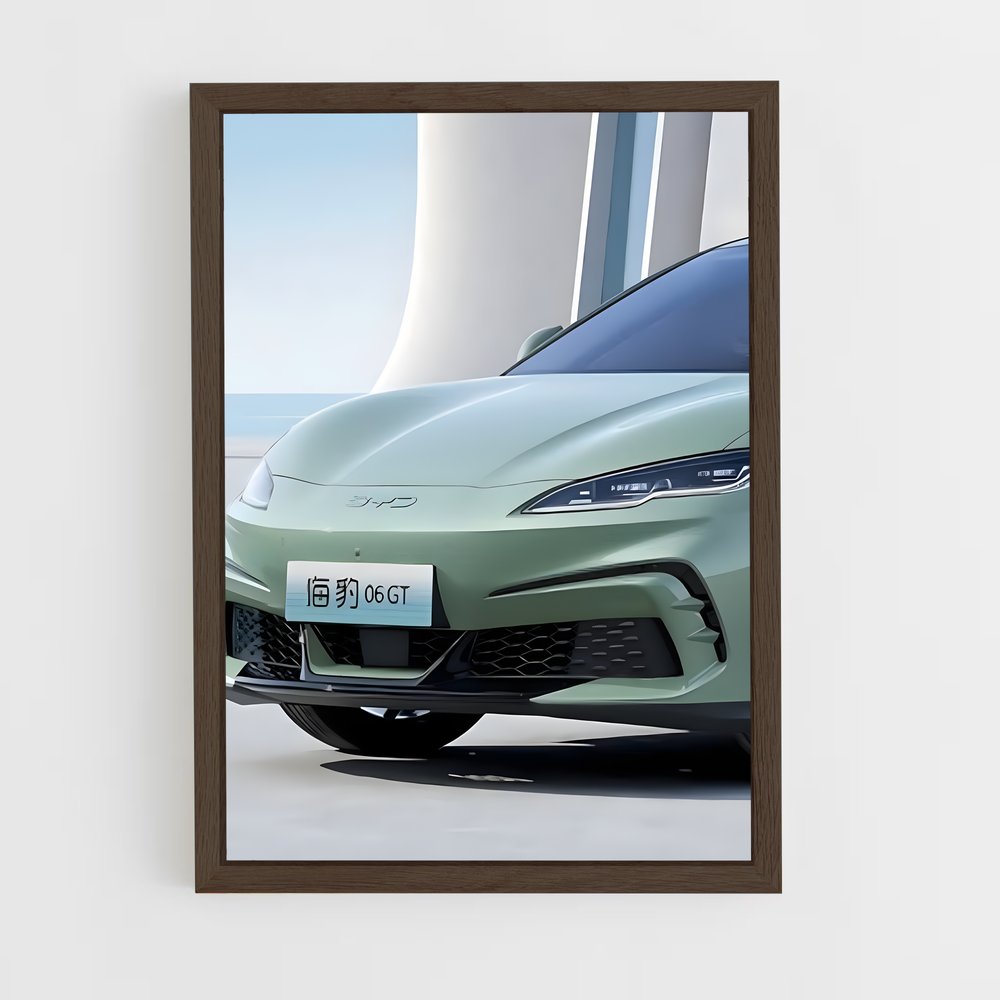 Poster GTZ Envoûtant – affiche BYD (vue 5)